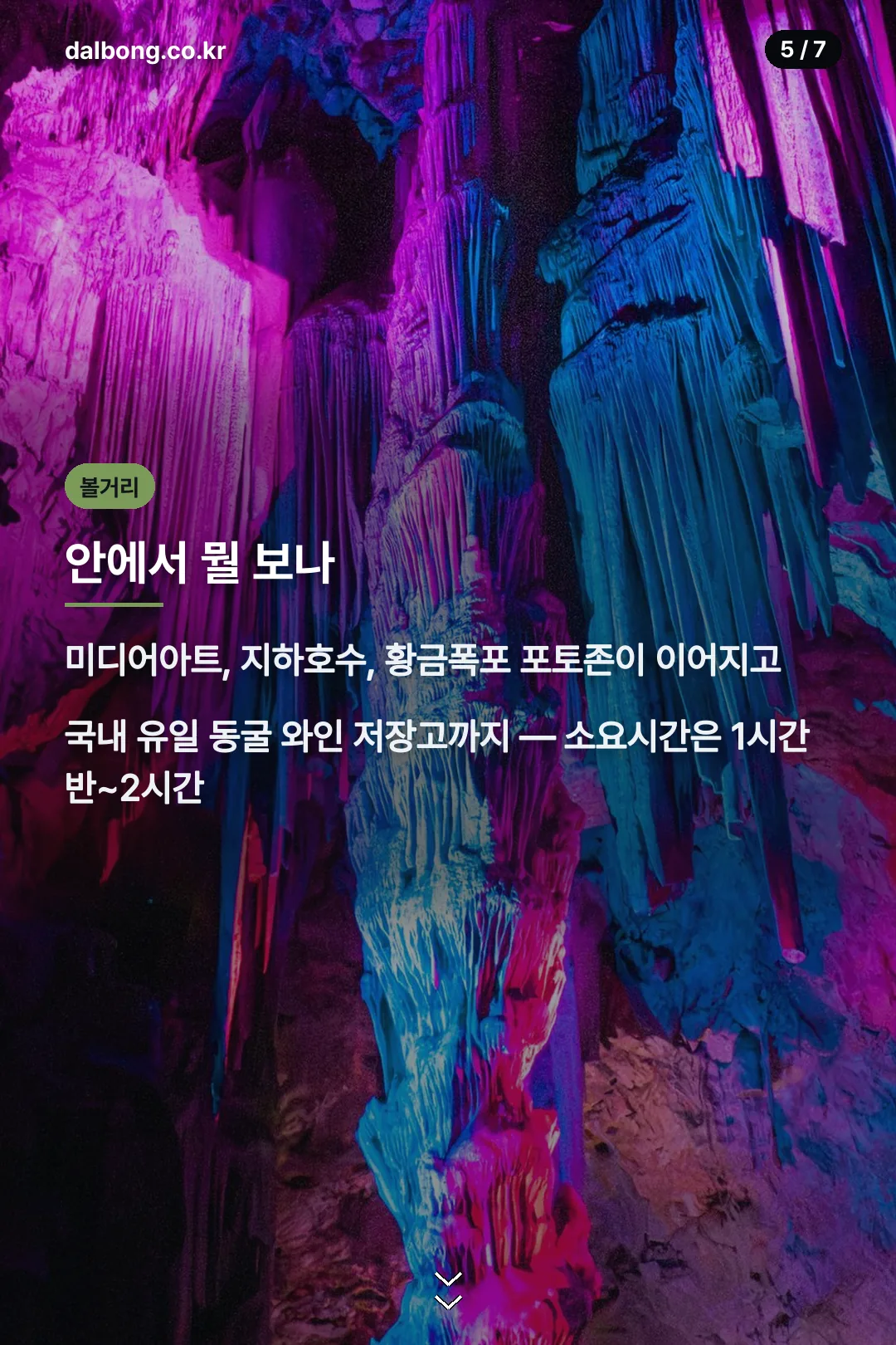 광명동굴 미디어아트 와인동굴 관람 포인트 카드