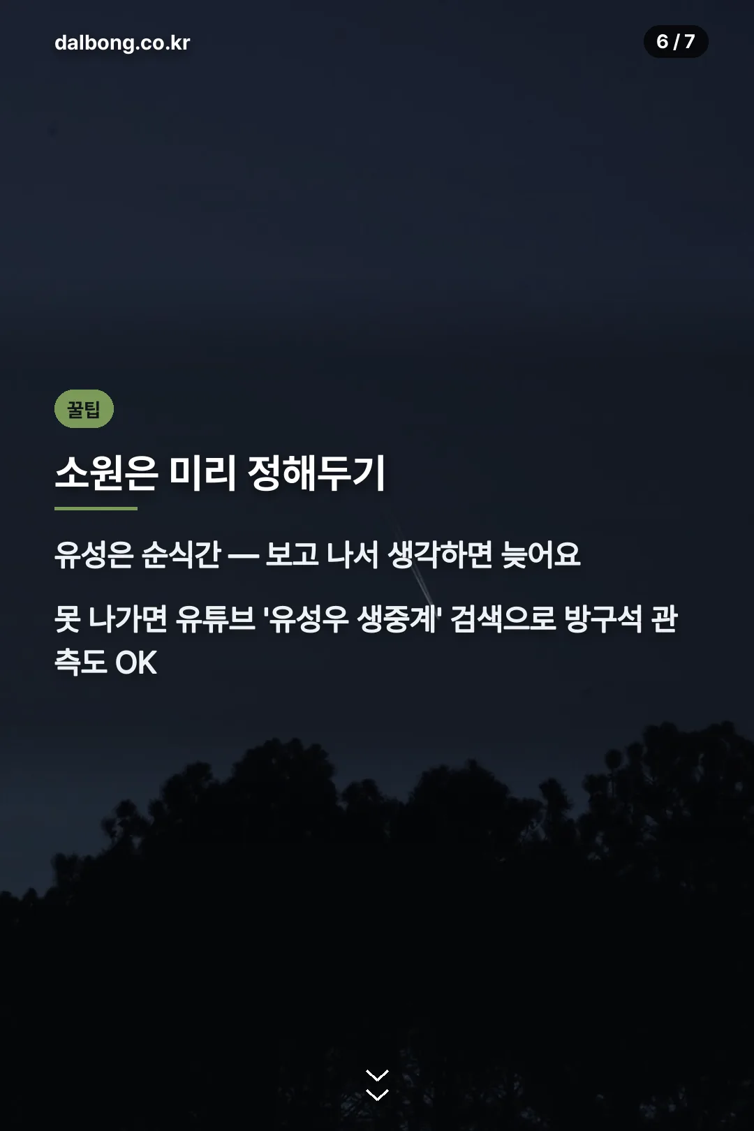 유성우 소원 꿀팁과 생중계 안내 카드