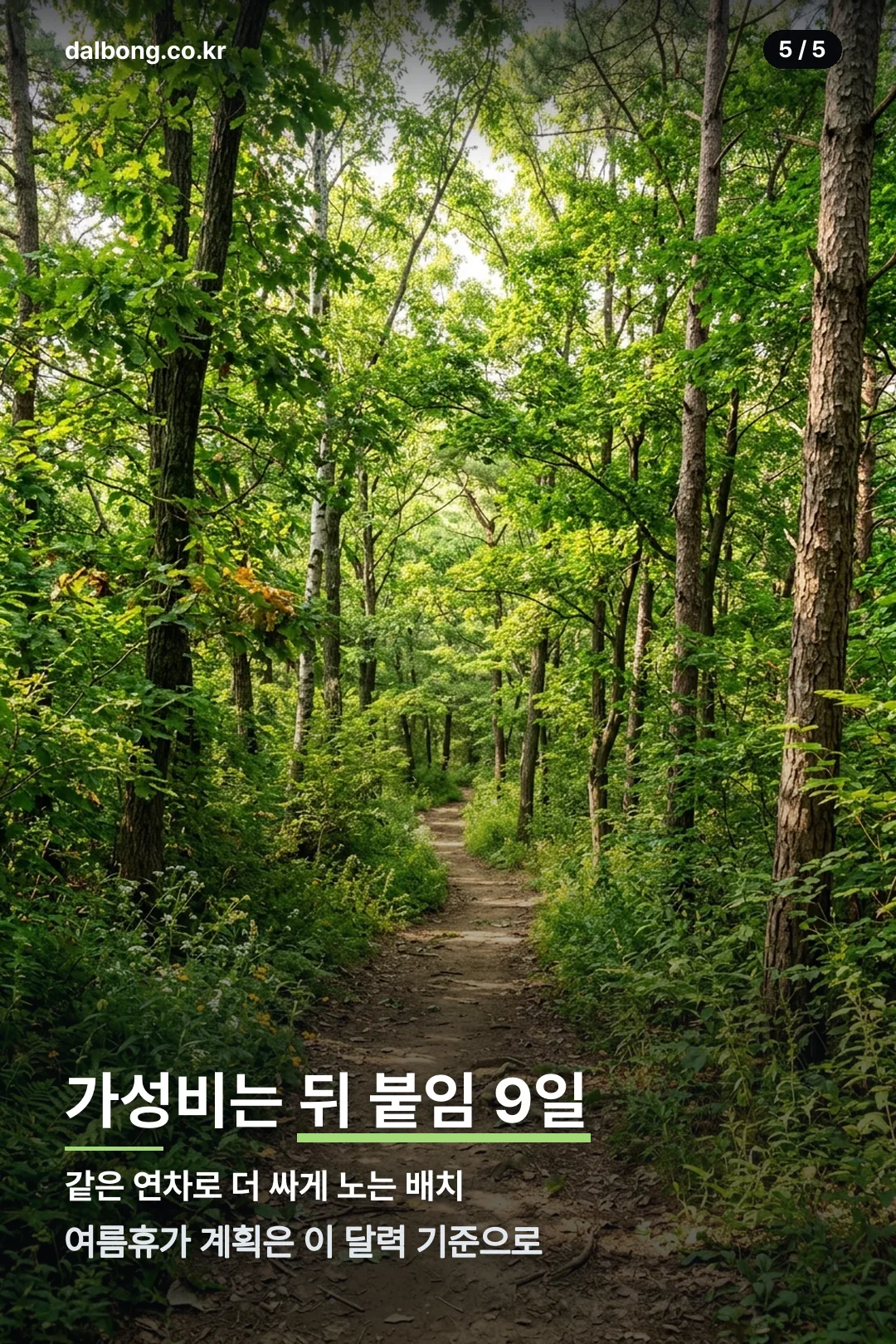 2027년 8월 달력 정리 카드 5
