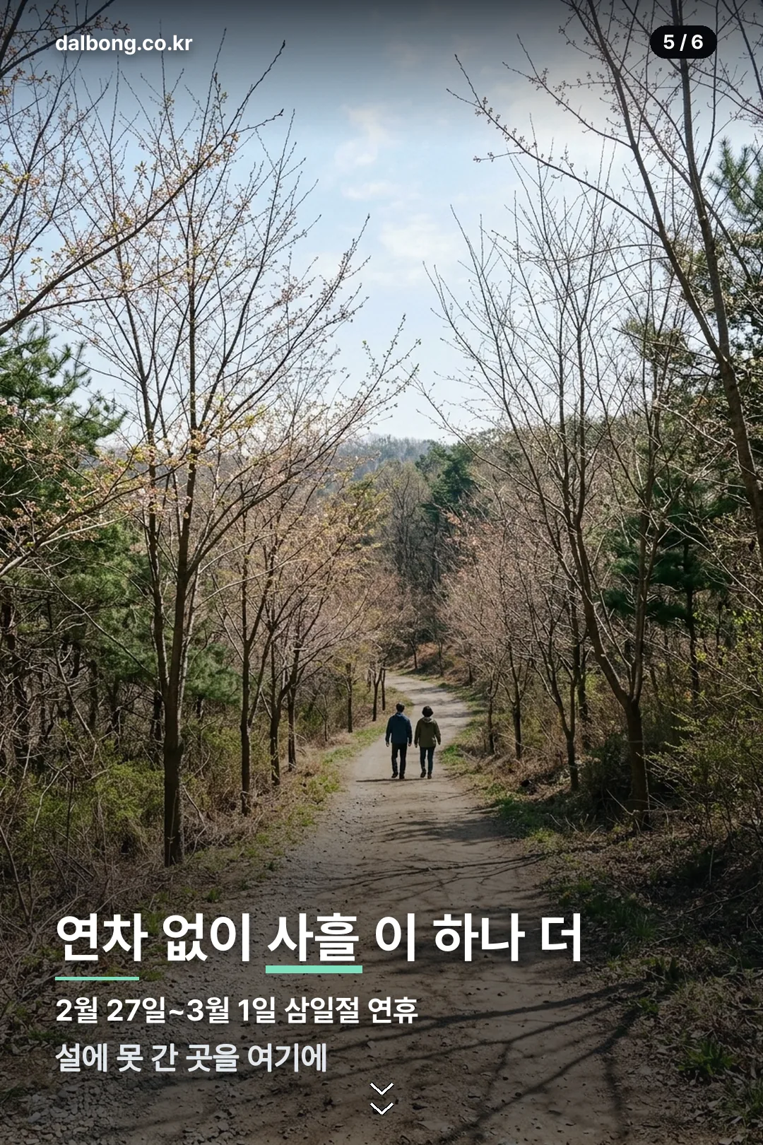 2027년 2월 달력 | 설 연휴 6~9일 나흘, 연차 3일로 9일 만드는 법 6 2027년 2월 달력과 설 연휴 안내 카드 5