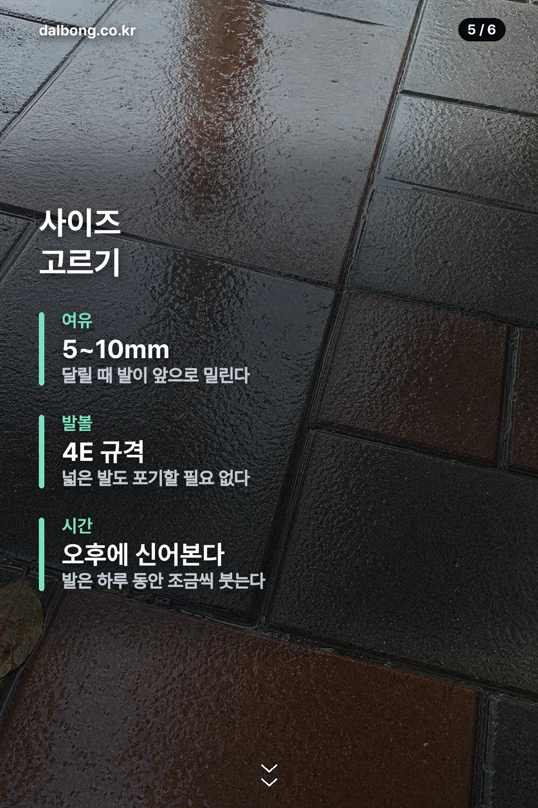 아식스 젤 님버스 28 — 20g 가벼워진 쿠션화 6 아식스 젤 님버스 28 카드뉴스 5