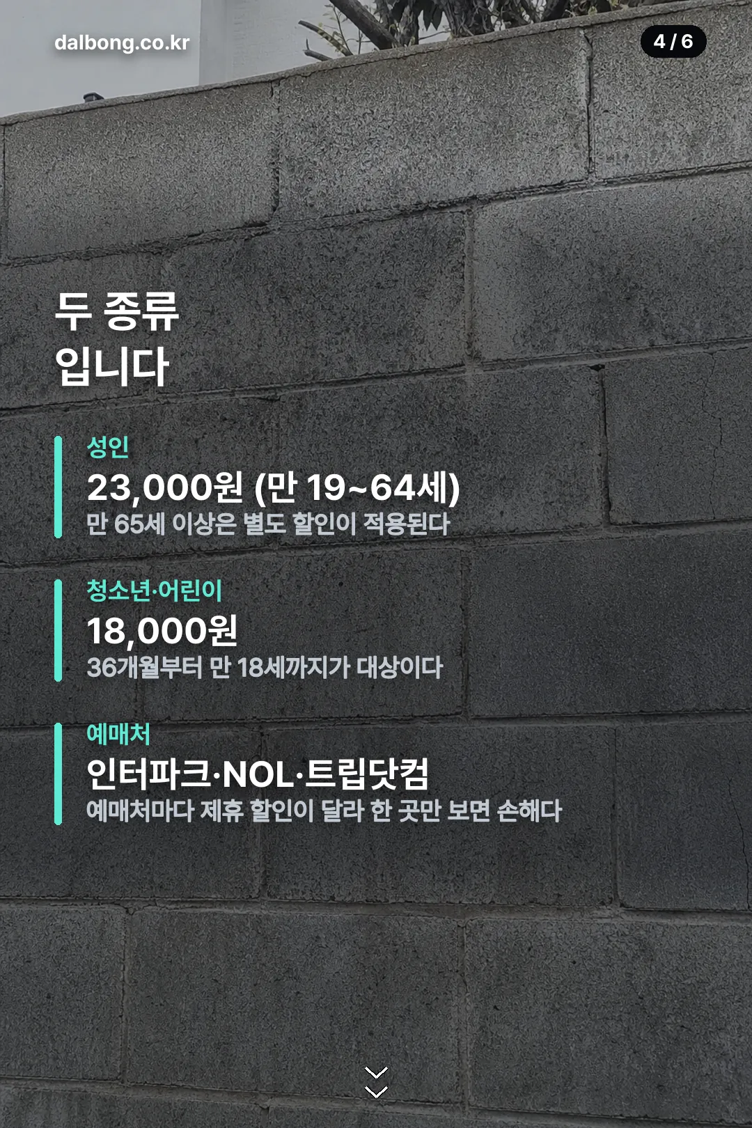 뱅크시 특별전 카드뉴스 4