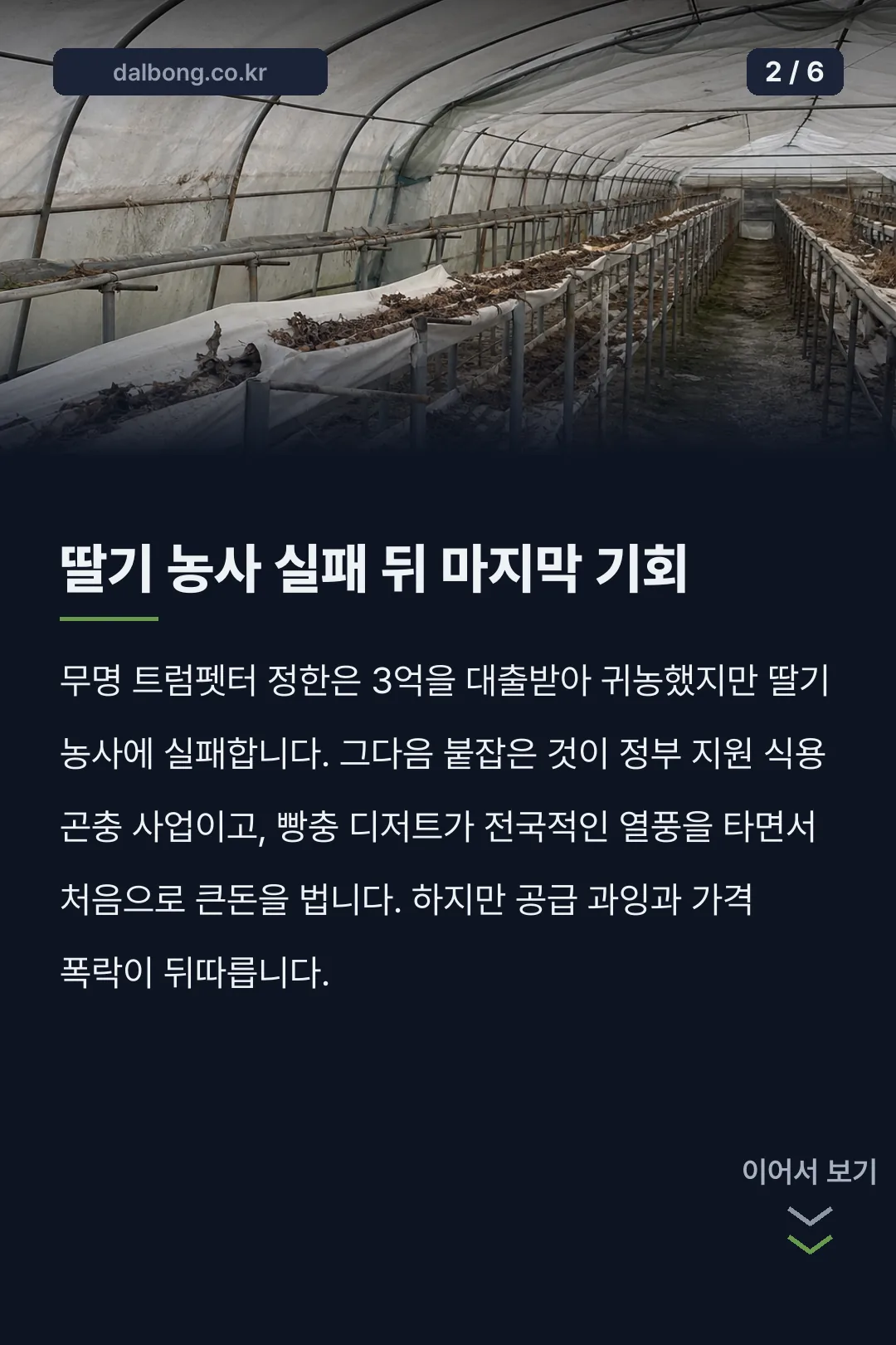 빵충 사육 준수 사항 소설 안내 카드뉴스 2