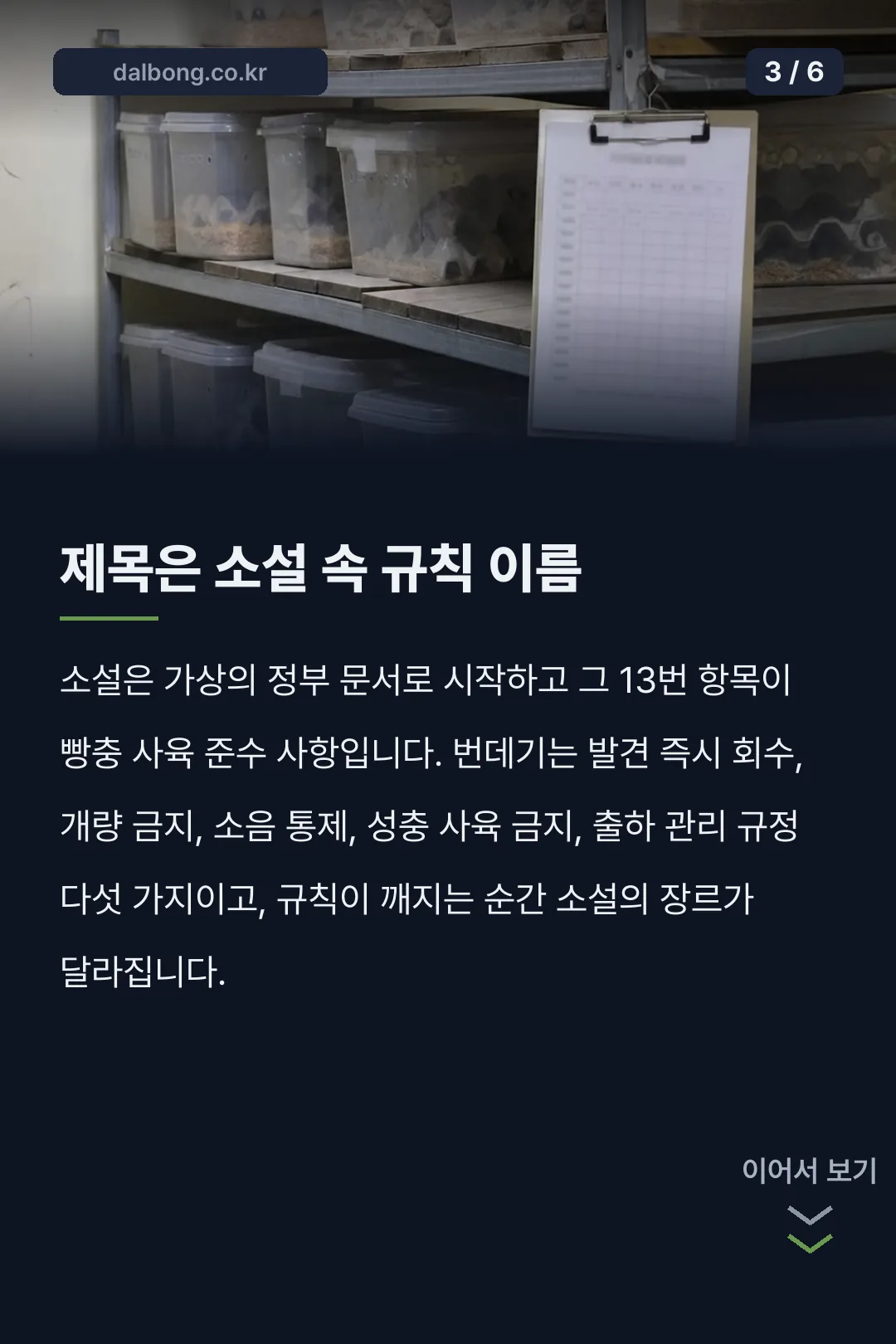 빵충 사육 준수 사항 소설 안내 카드뉴스 3
