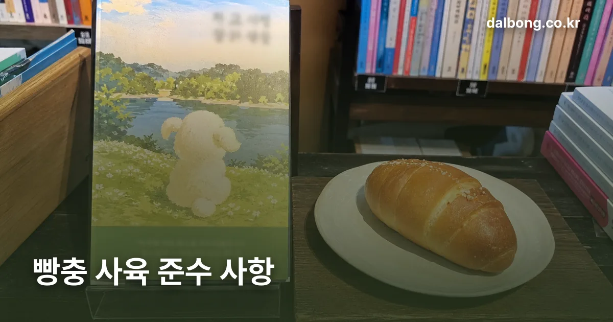 bbangchung novel kim hyeyoung thumb