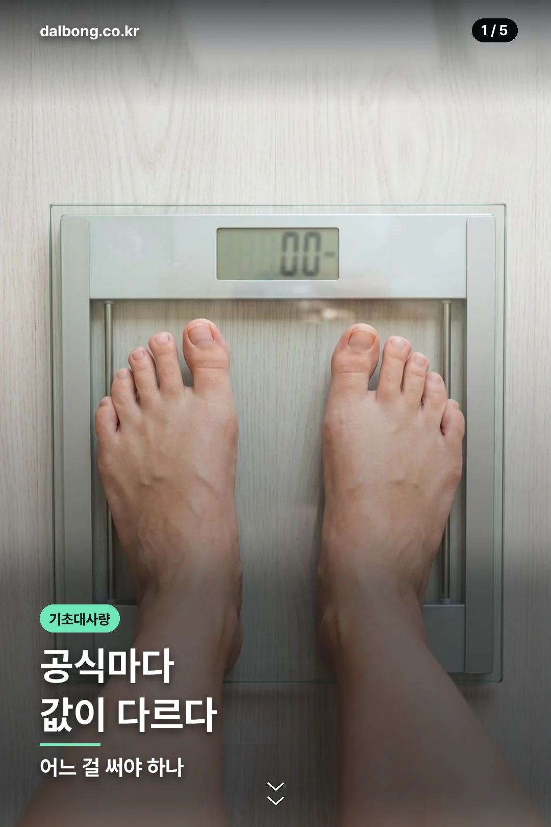 기초대사량 계산 공식 정리 카드 1