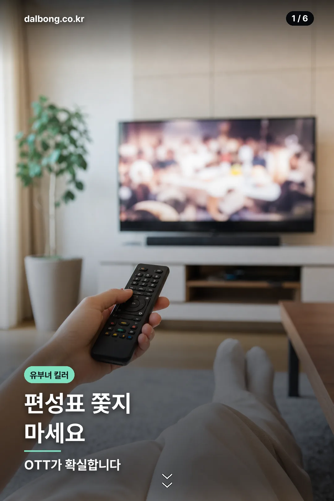 유부녀 킬러 재방송 편성 카드 1