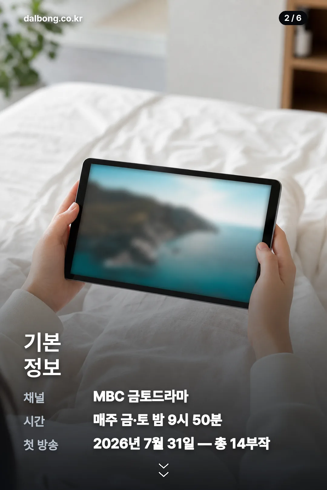 유부녀 킬러 재방송 편성 카드 2