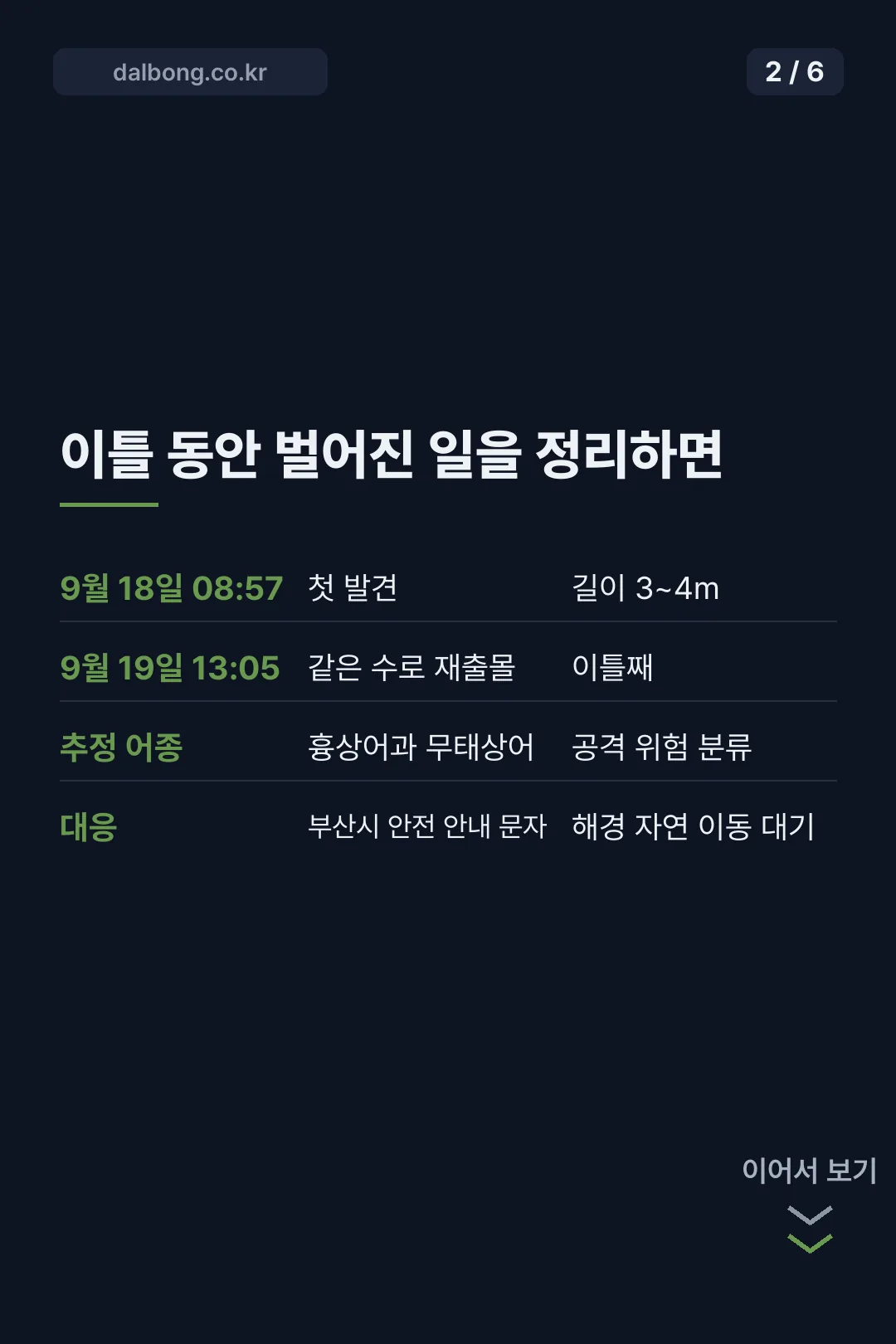 부산 북항 상어 출몰 카드뉴스 2