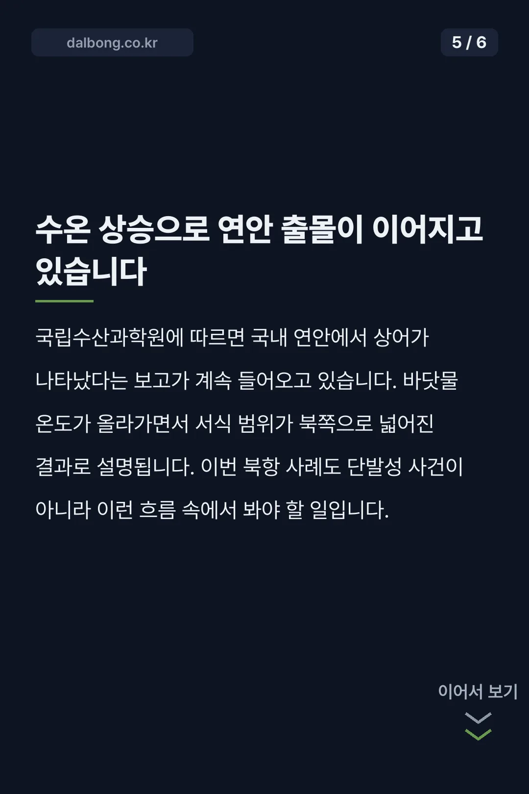 부산 북항 상어 출몰 카드뉴스 5