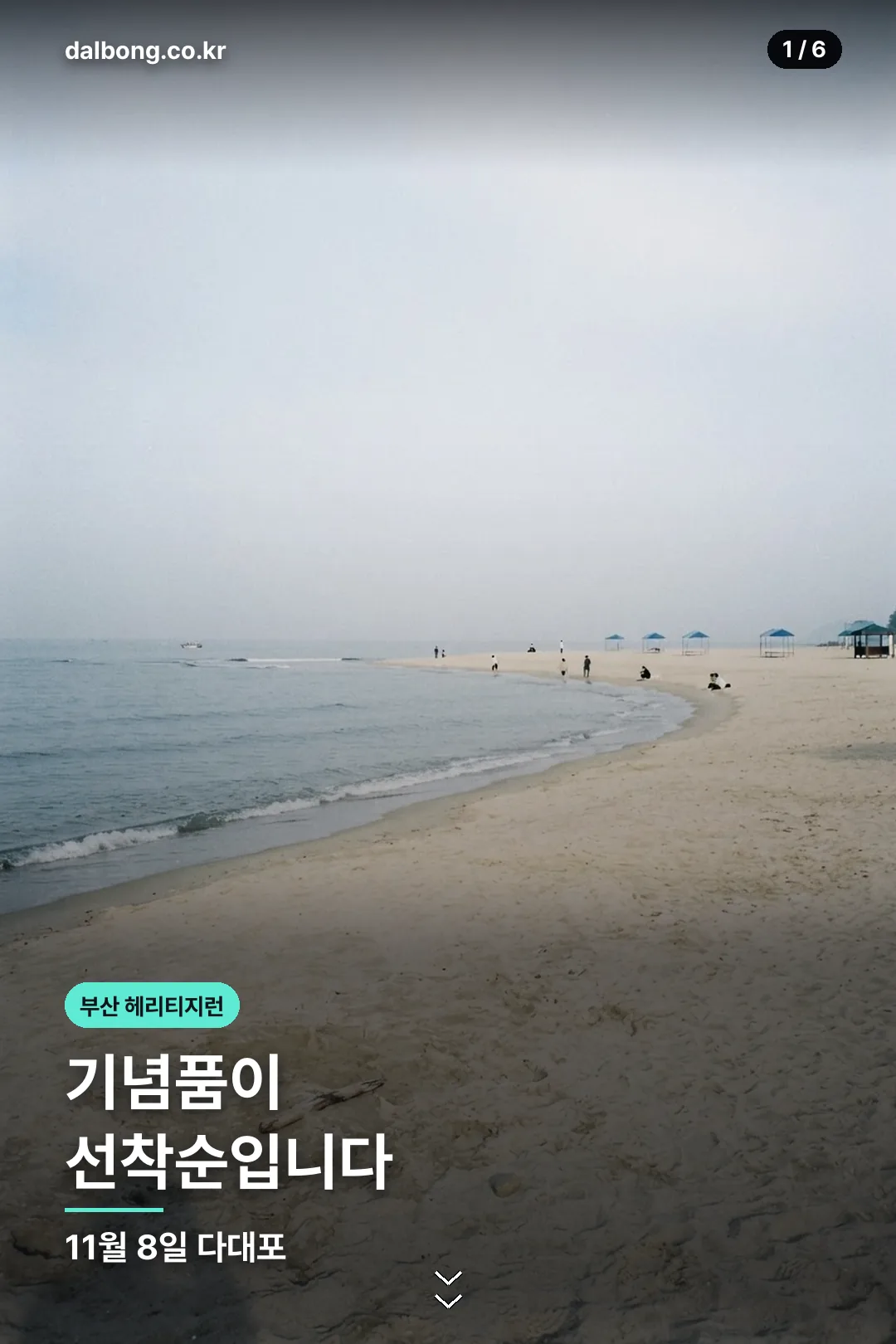 부산 헤리티지런 정리 카드 1