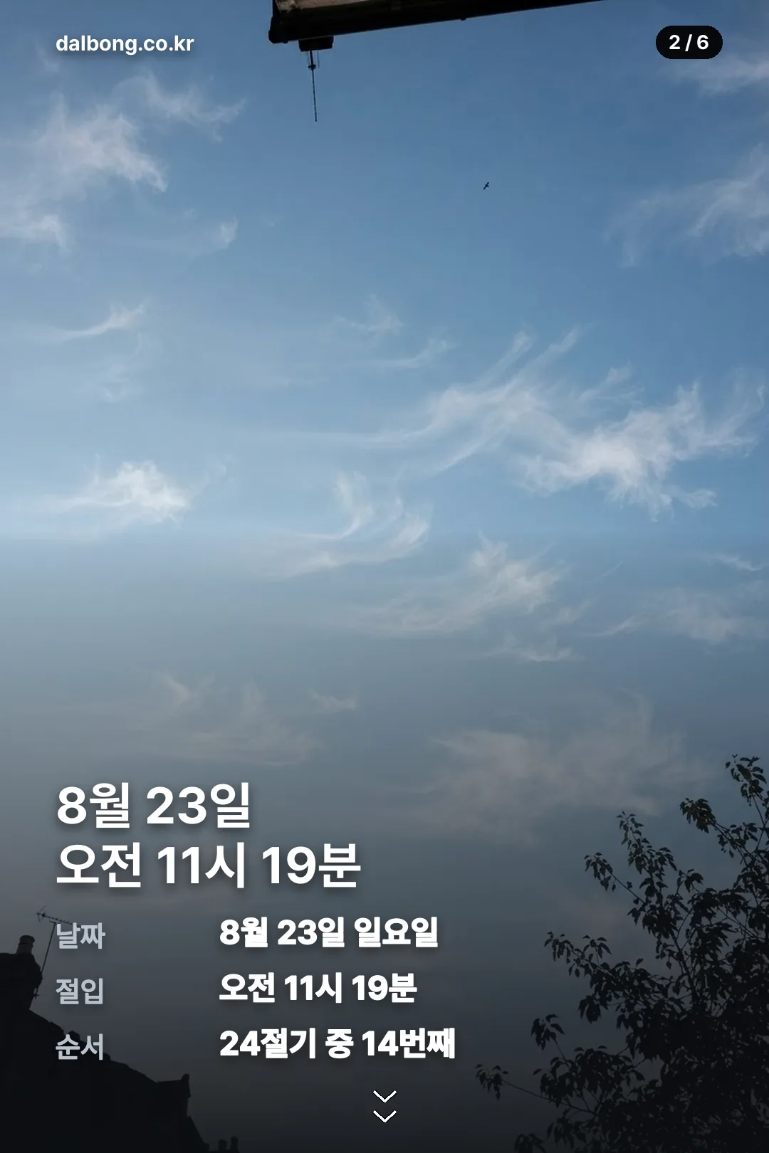 2026년 처서 정보 카드 2