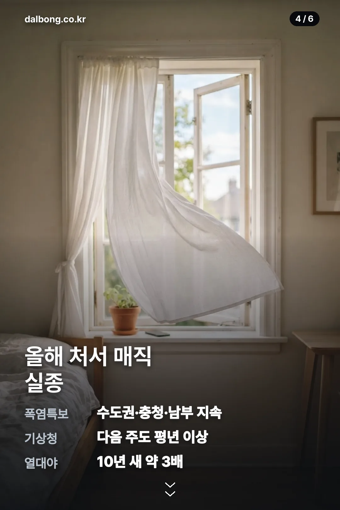 2026년 처서 정보 카드 4