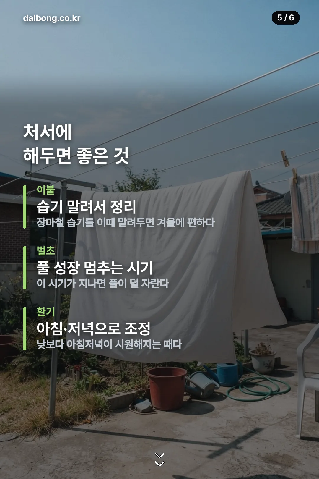 2026년 처서 정보 카드 5