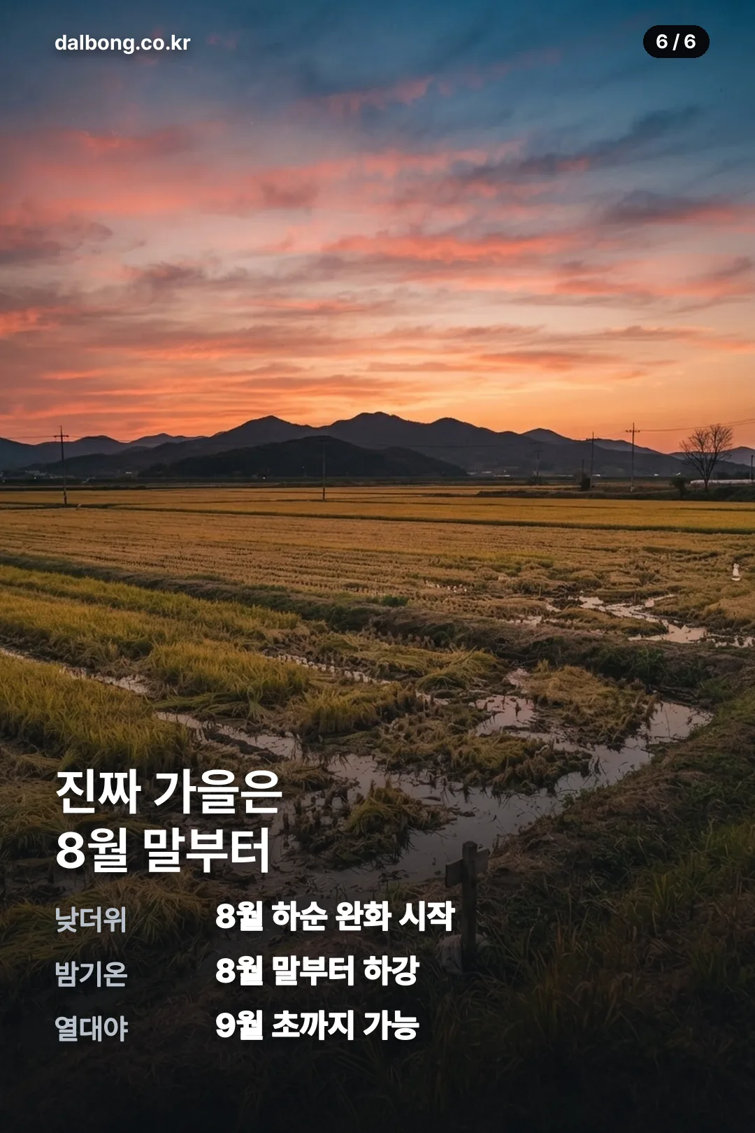 2026년 처서 정보 카드 6