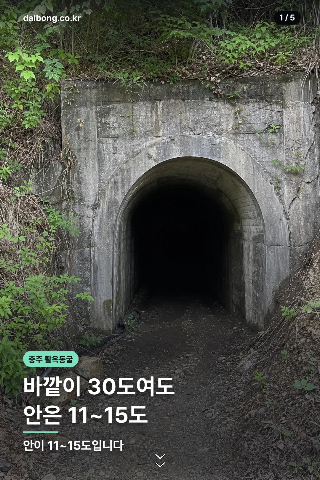 충주 활옥동굴 요금과 준비물 안내 카드 1