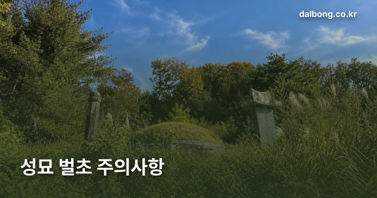 chuseok grave visit safety v2 thumb 1