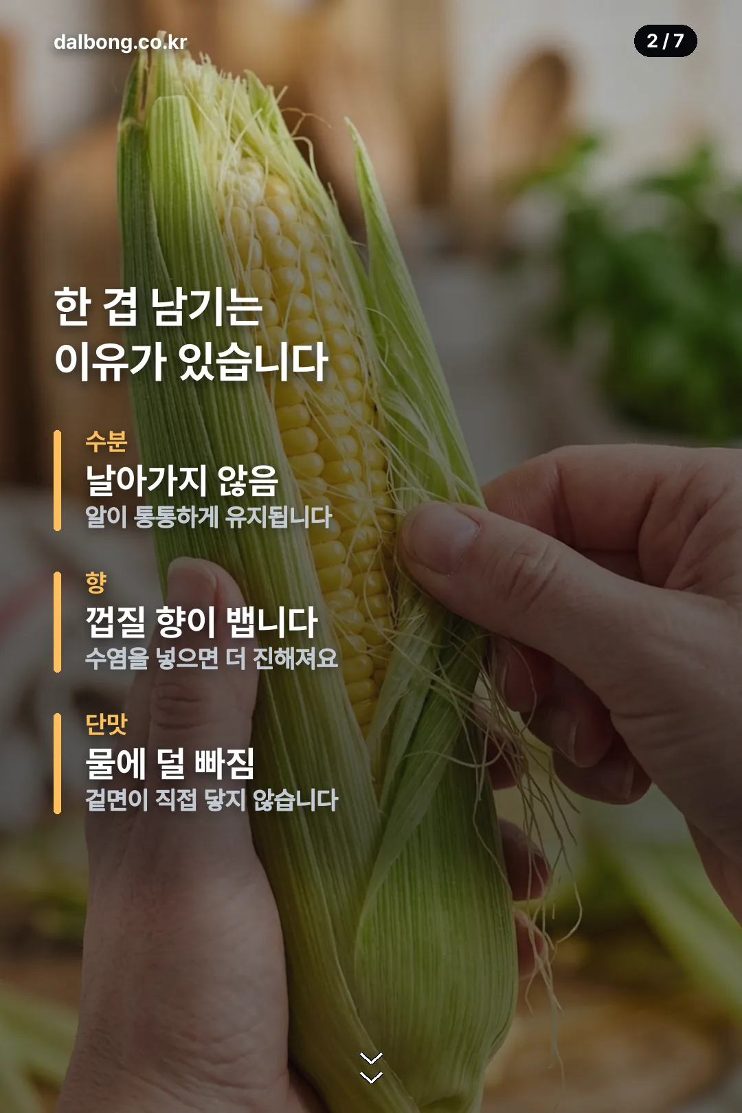 옥수수 삶는 법 카드 2