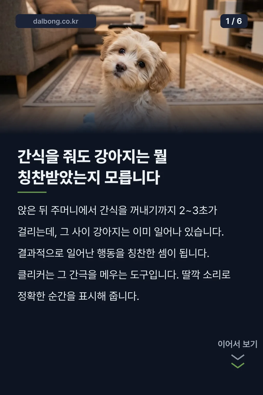 강아지 클리커 훈련 카드뉴스 1