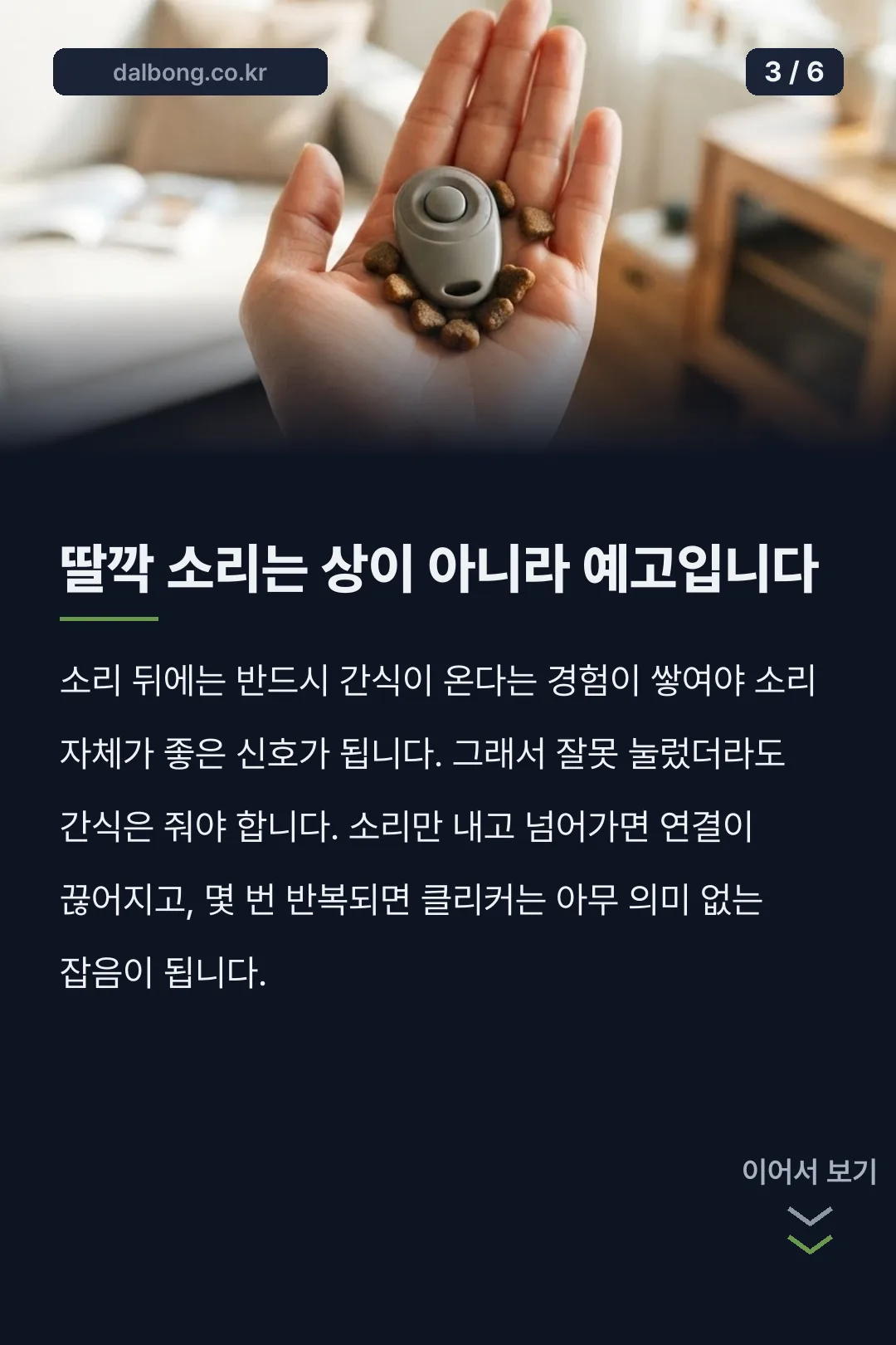 강아지 클리커 훈련 카드뉴스 3