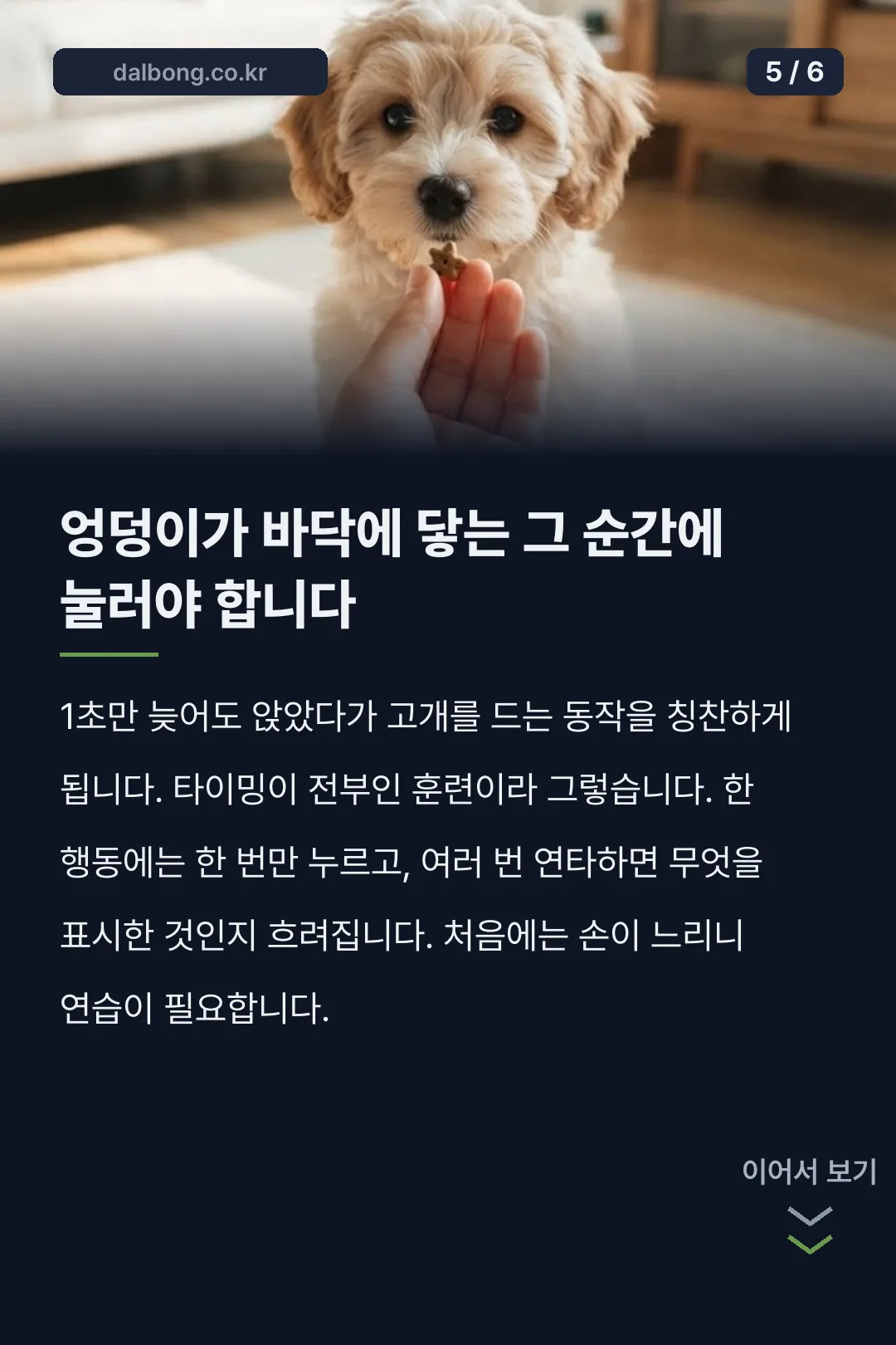 강아지 클리커 훈련 카드뉴스 5