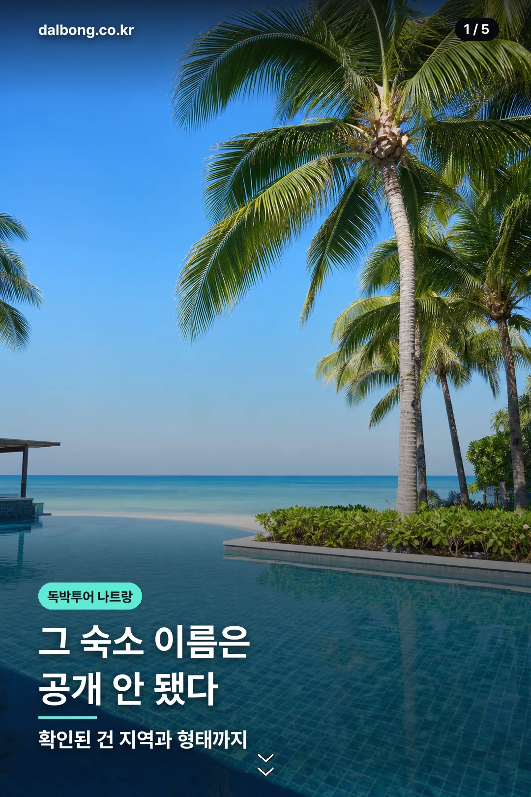 독박투어 나트랑 숙소 정보 카드 1