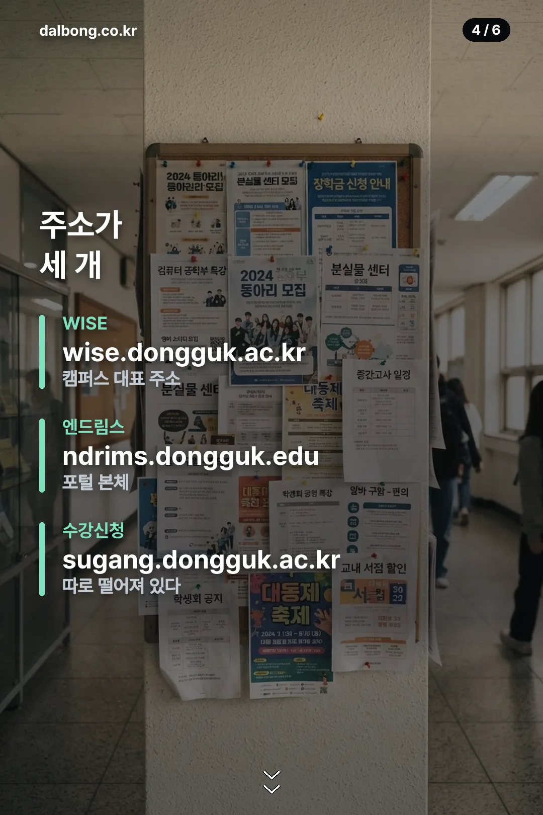 동국대 엔드림스 카드뉴스 4