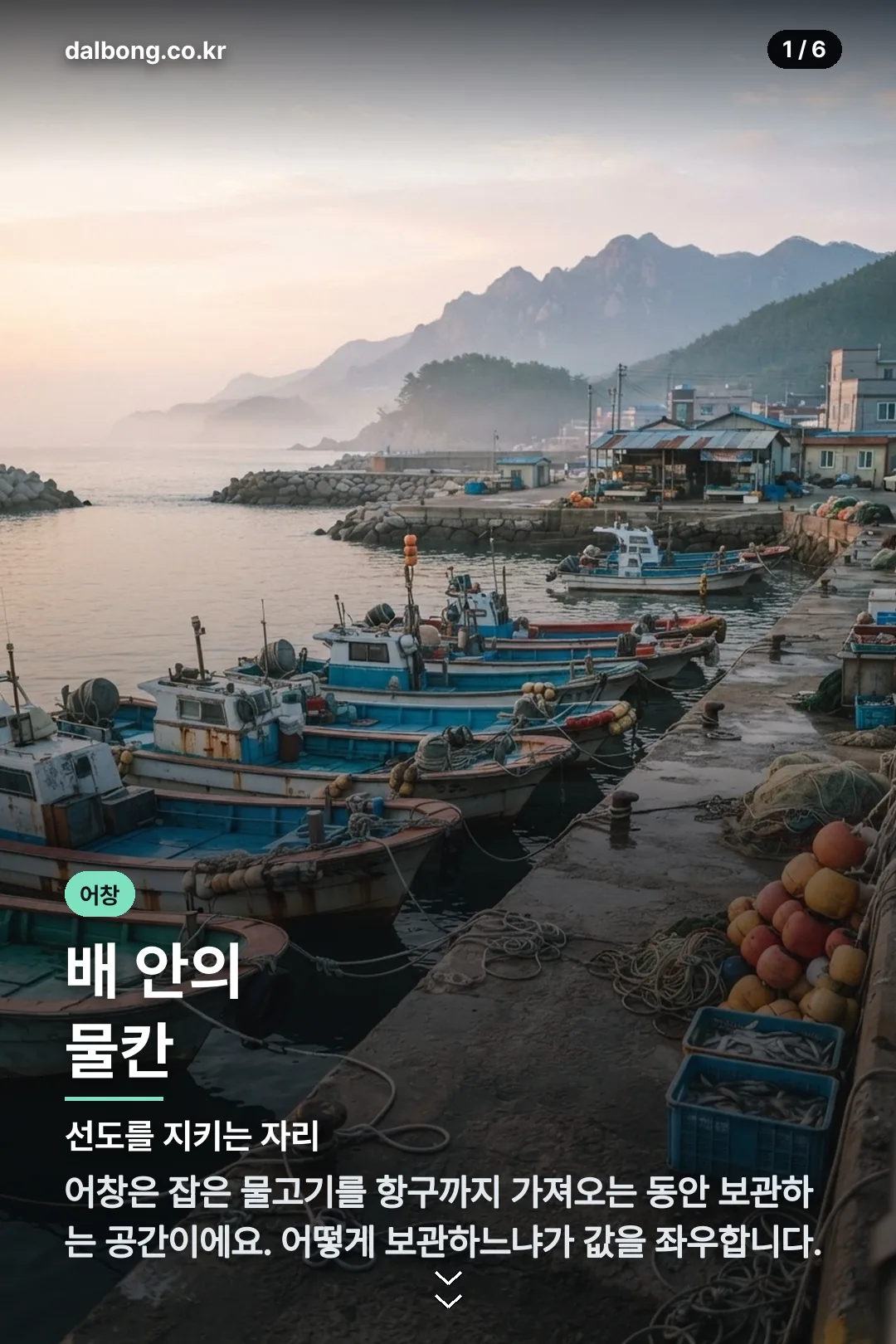 어민서 어창선 카드뉴스 1
