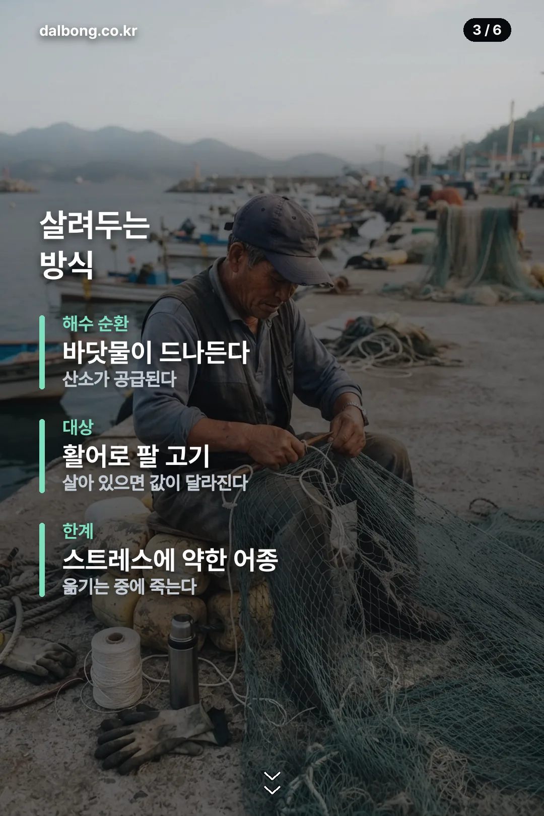 어민서 어창선 카드뉴스 3