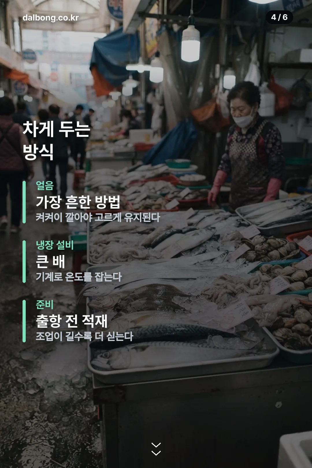 어민서 어창선 카드뉴스 4