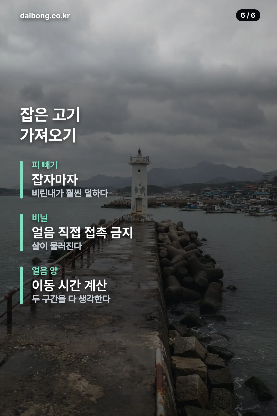 어민서 어창선 카드뉴스 6