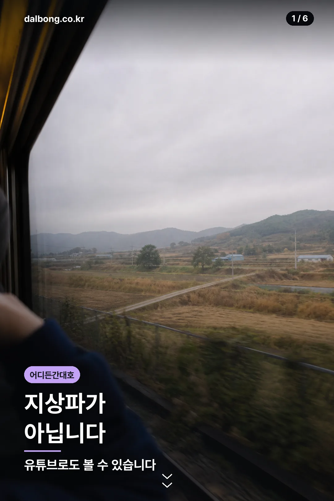 어디든간대호 카드뉴스 1