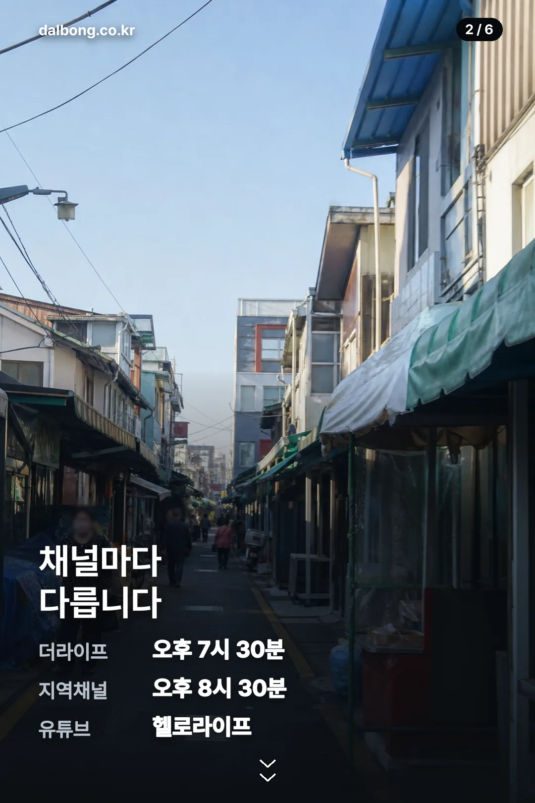 어디든간대호 카드뉴스 2