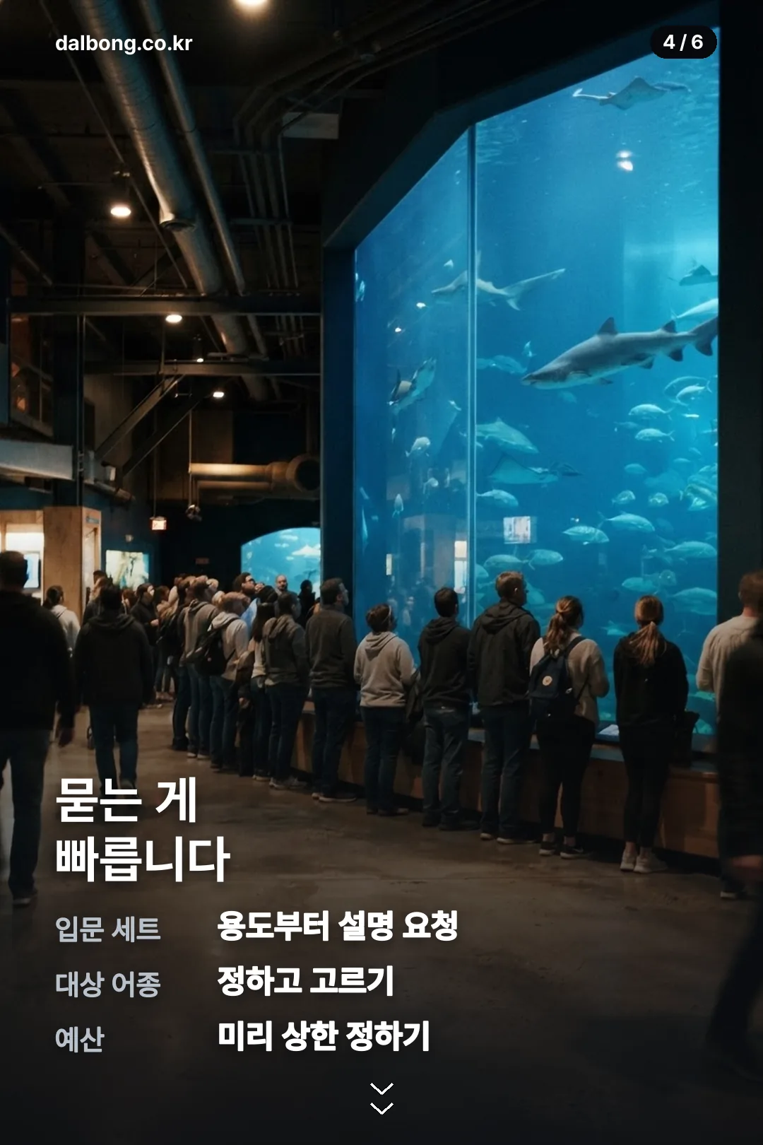 2026 생활낚시박람회 카드뉴스 4