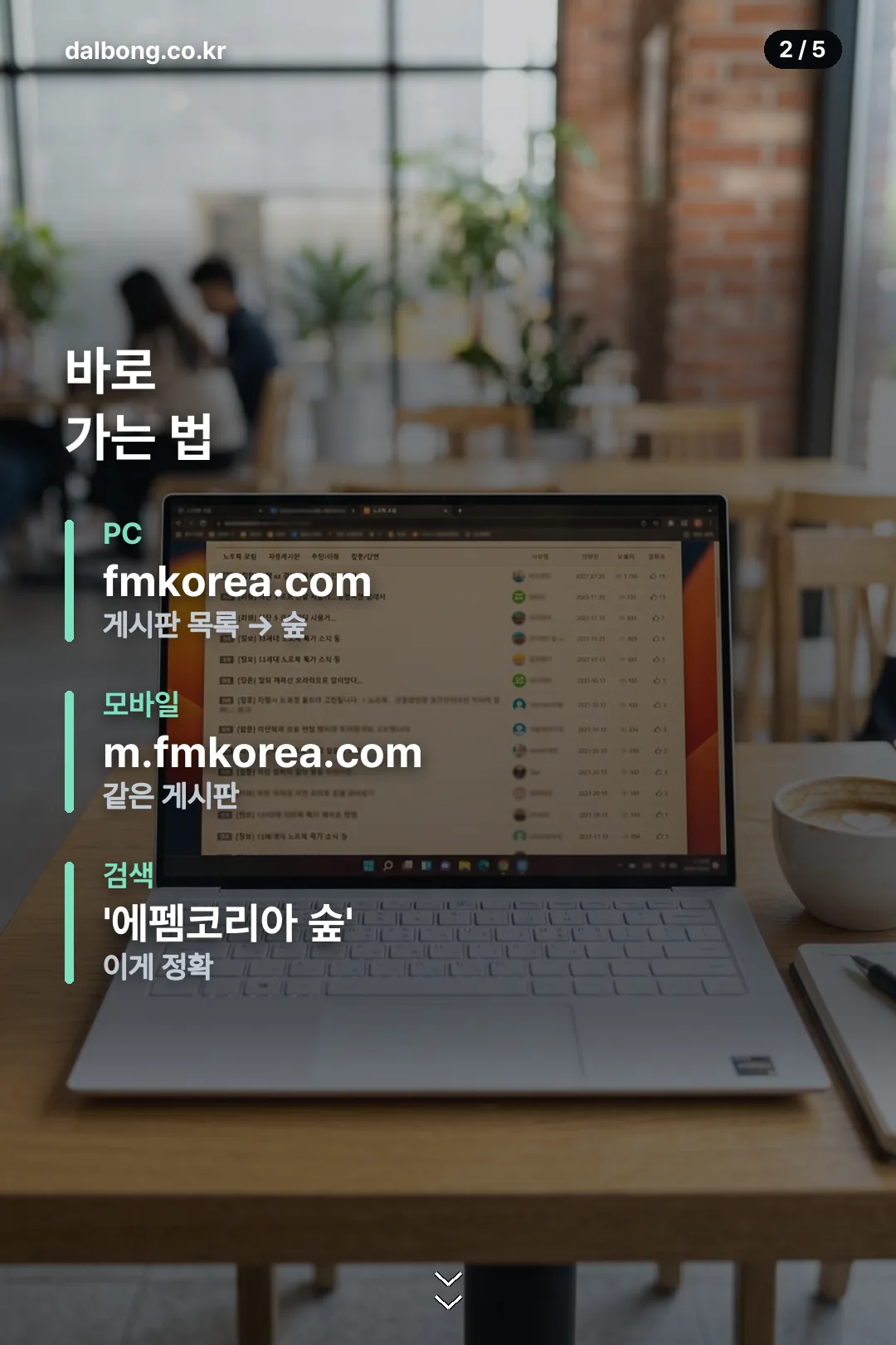 펨코 숲 게시판 안내 카드 2