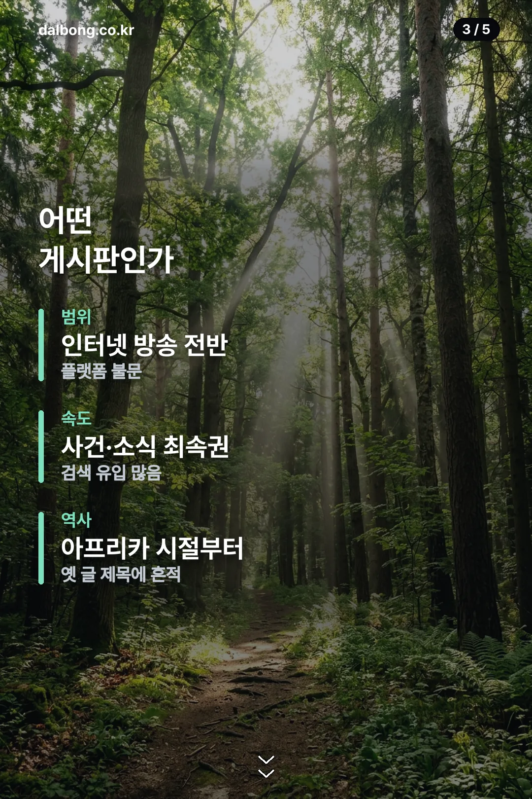 펨코 아프리카 | 지금 이름은 숲(SOOP) 게시판, 바로가기와 이용법 4 펨코 숲 게시판 안내 카드 3