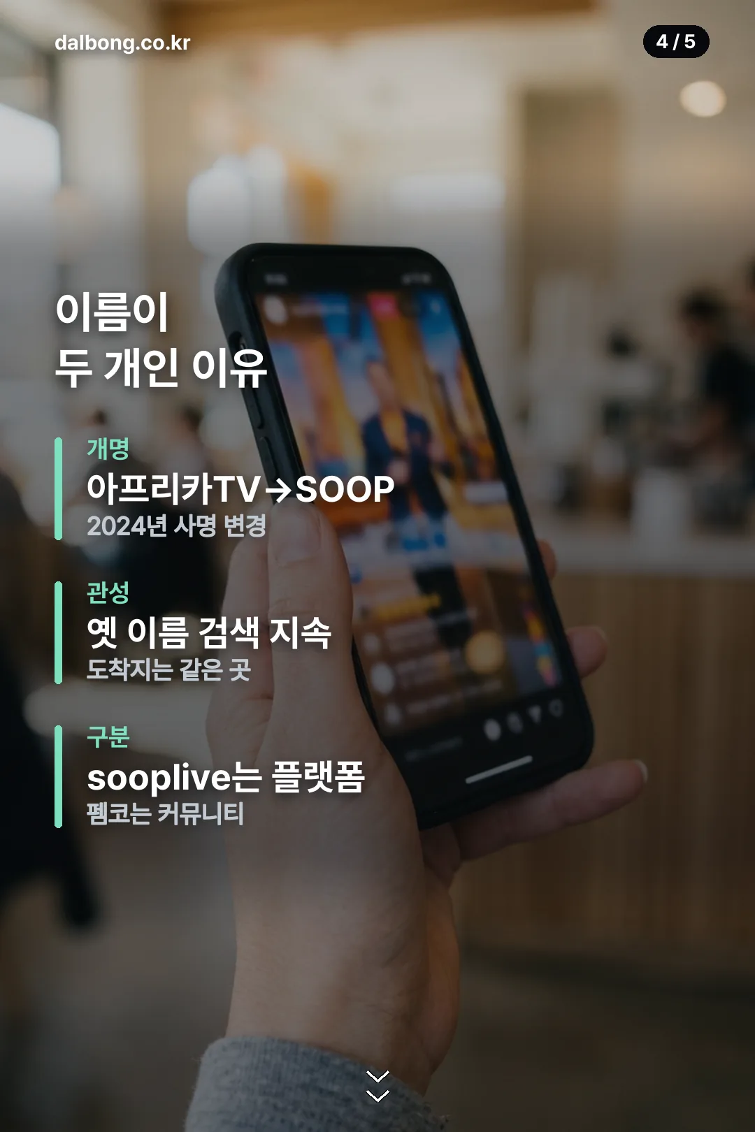 펨코 아프리카 | 지금 이름은 숲(SOOP) 게시판, 바로가기와 이용법 5 펨코 숲 게시판 안내 카드 4