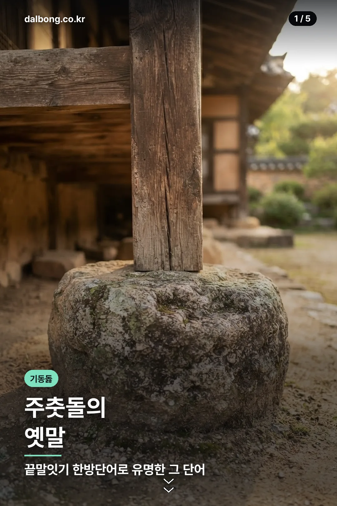 기동돓 뜻과 한방단어 정보 카드 1