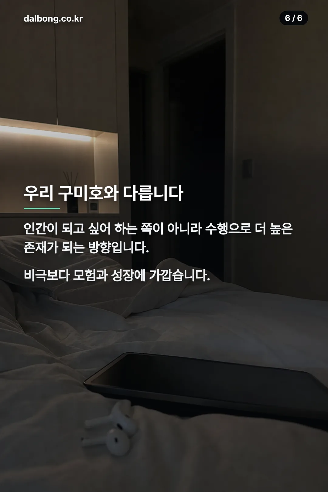 구미장부주 구미호전 카드뉴스 6