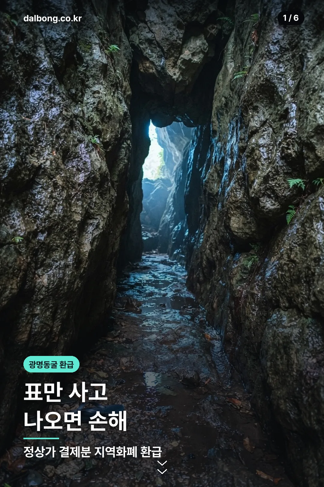 광명동굴 입장료 환급 정보 카드 1