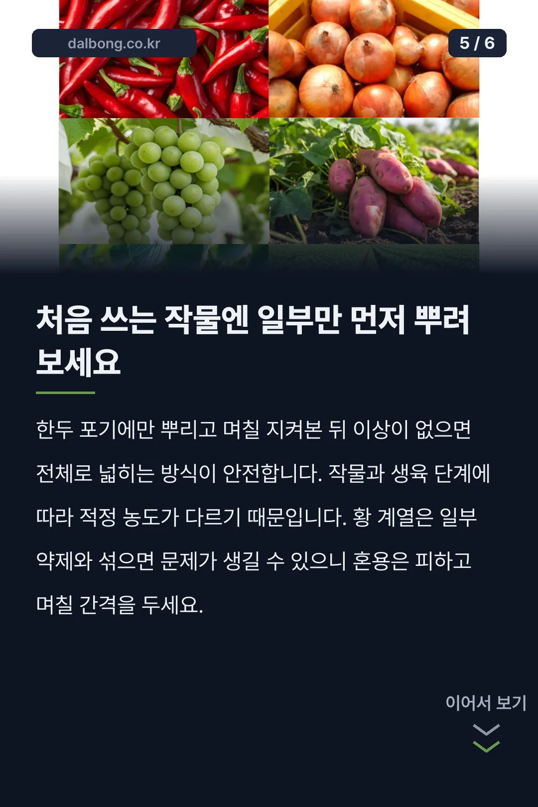 규산황효능 카드뉴스 5