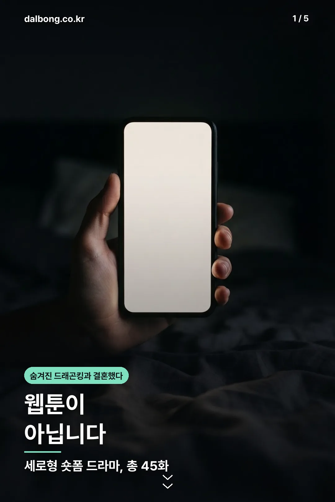 숨겨진 드래곤킹과 결혼했다 정보 카드 1