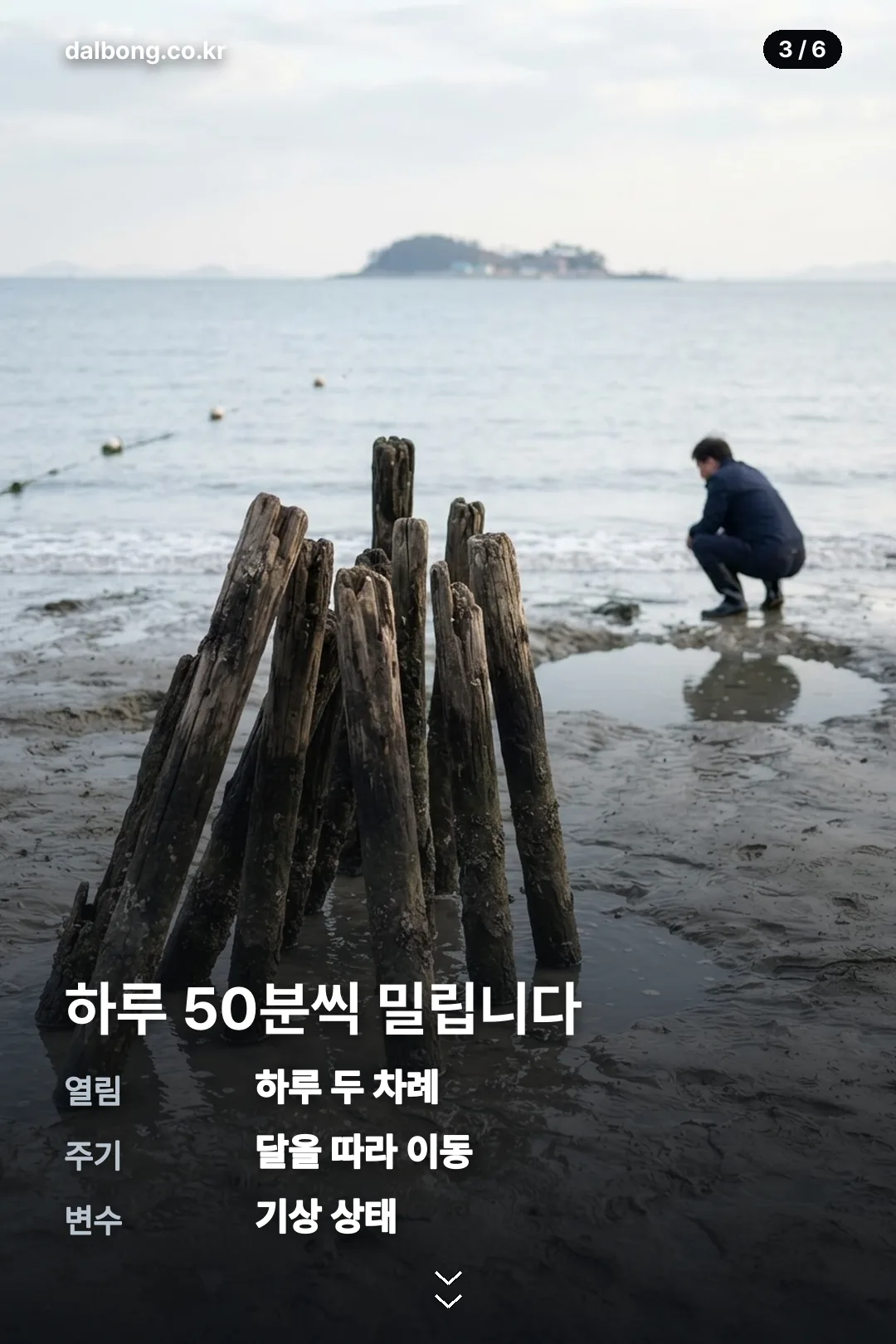 제부도 물때시간표 카드뉴스 3