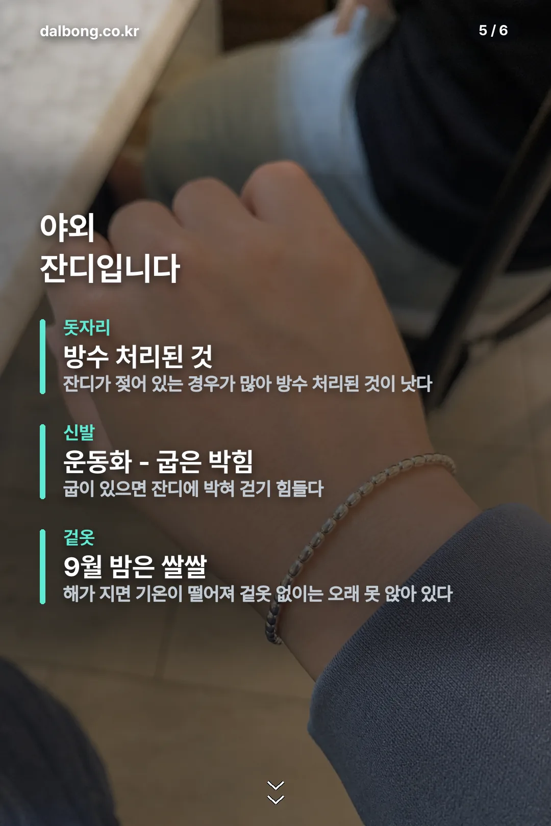 KB 조이올팍 페스티벌 2026 카드뉴스 5