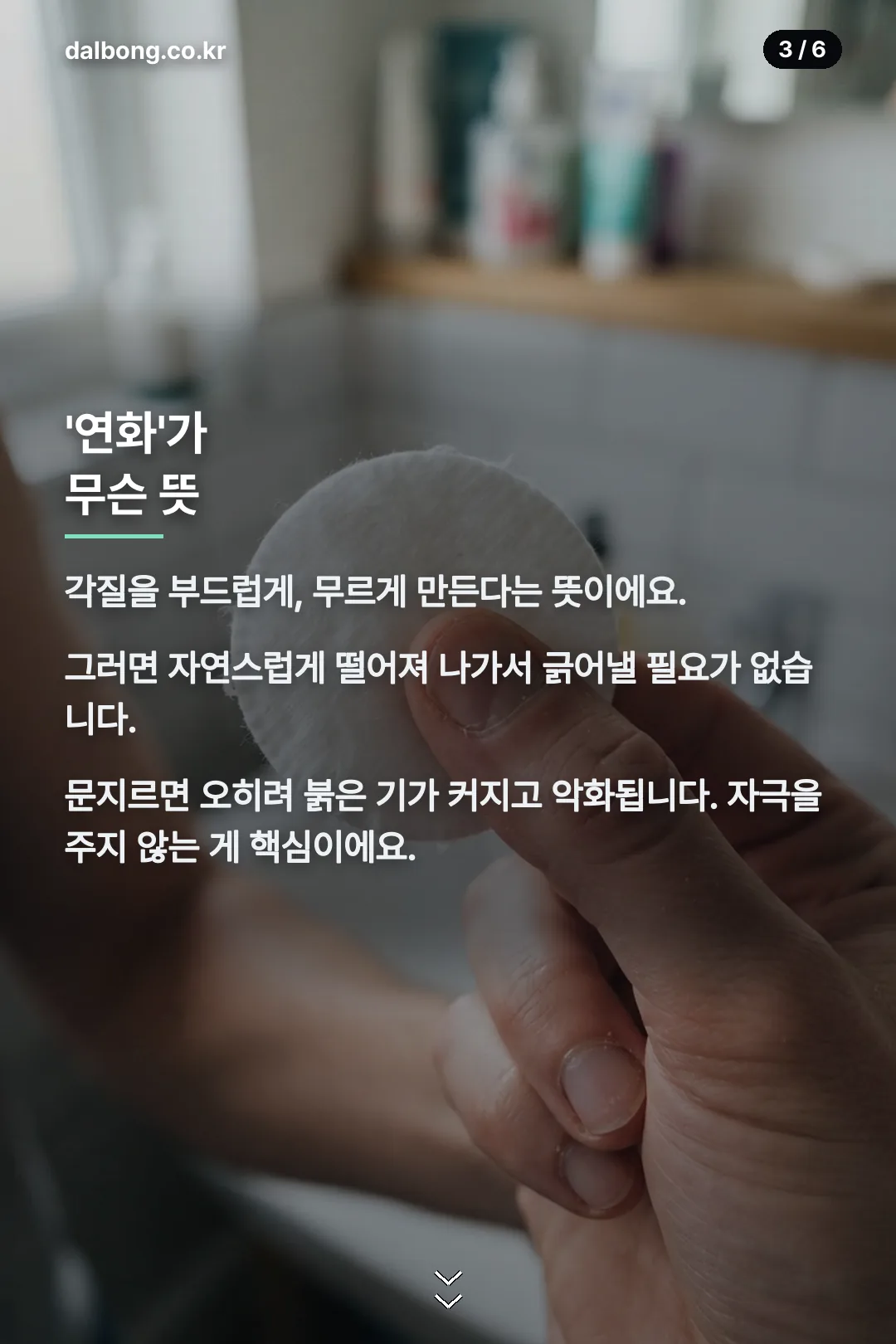모각연화패드 카드뉴스 3