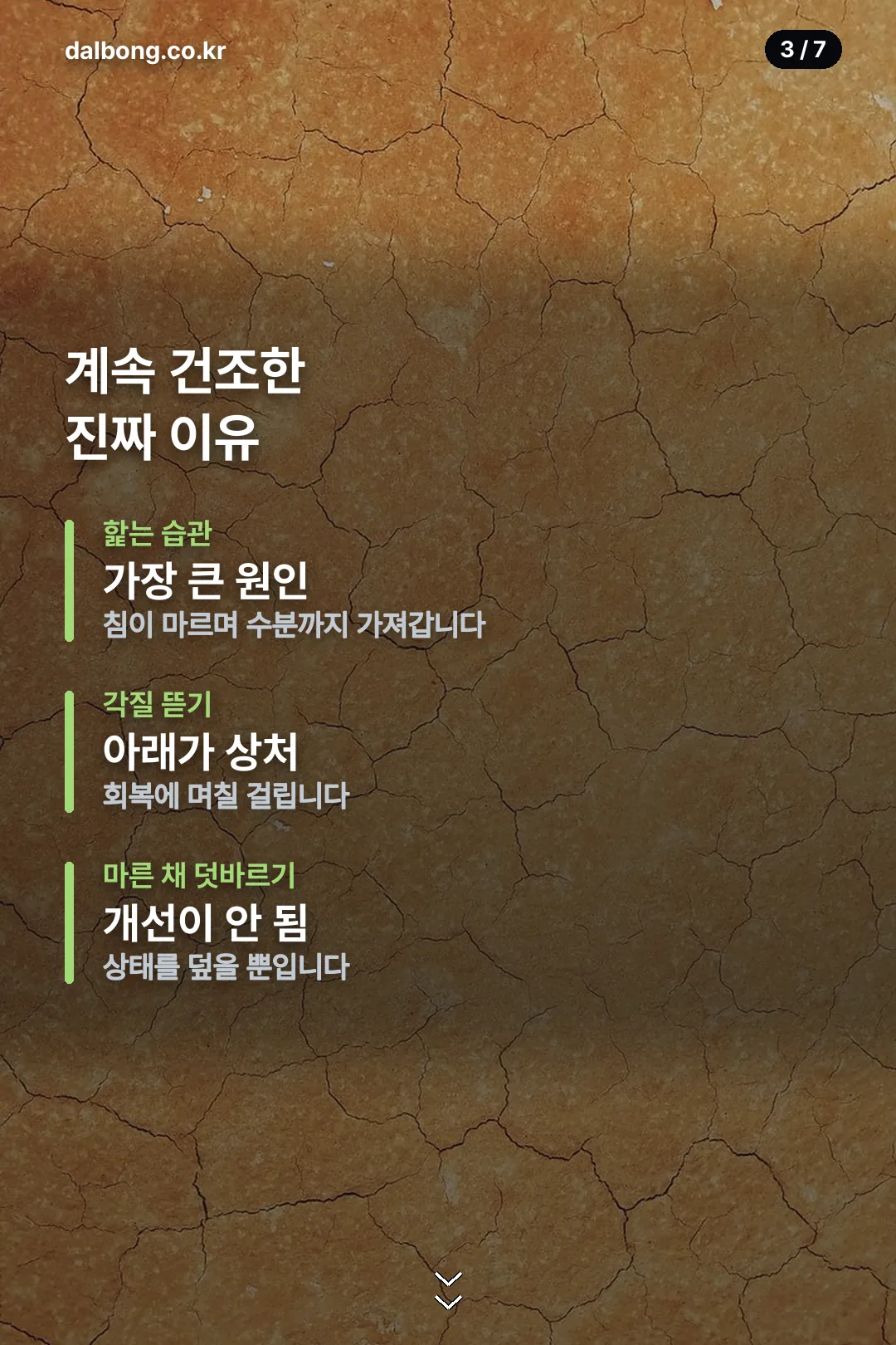 립밤 관리 안내 카드 3
