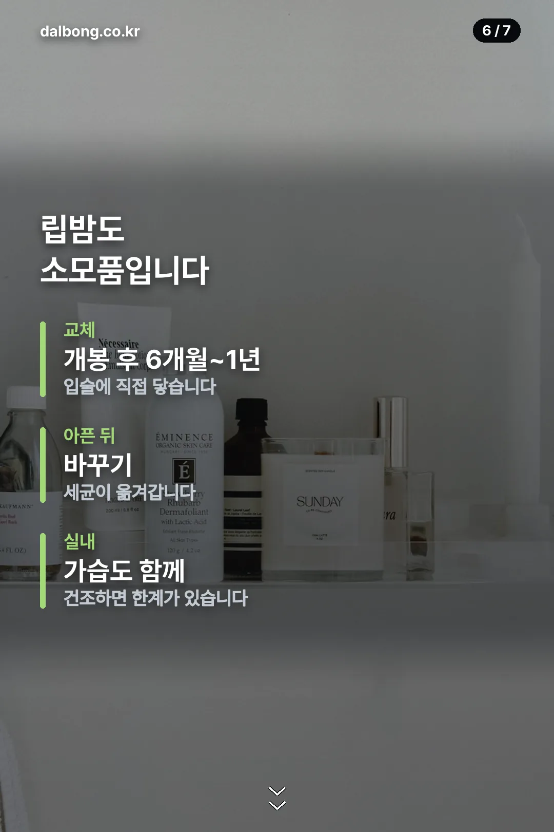 립밤 관리 안내 카드 6