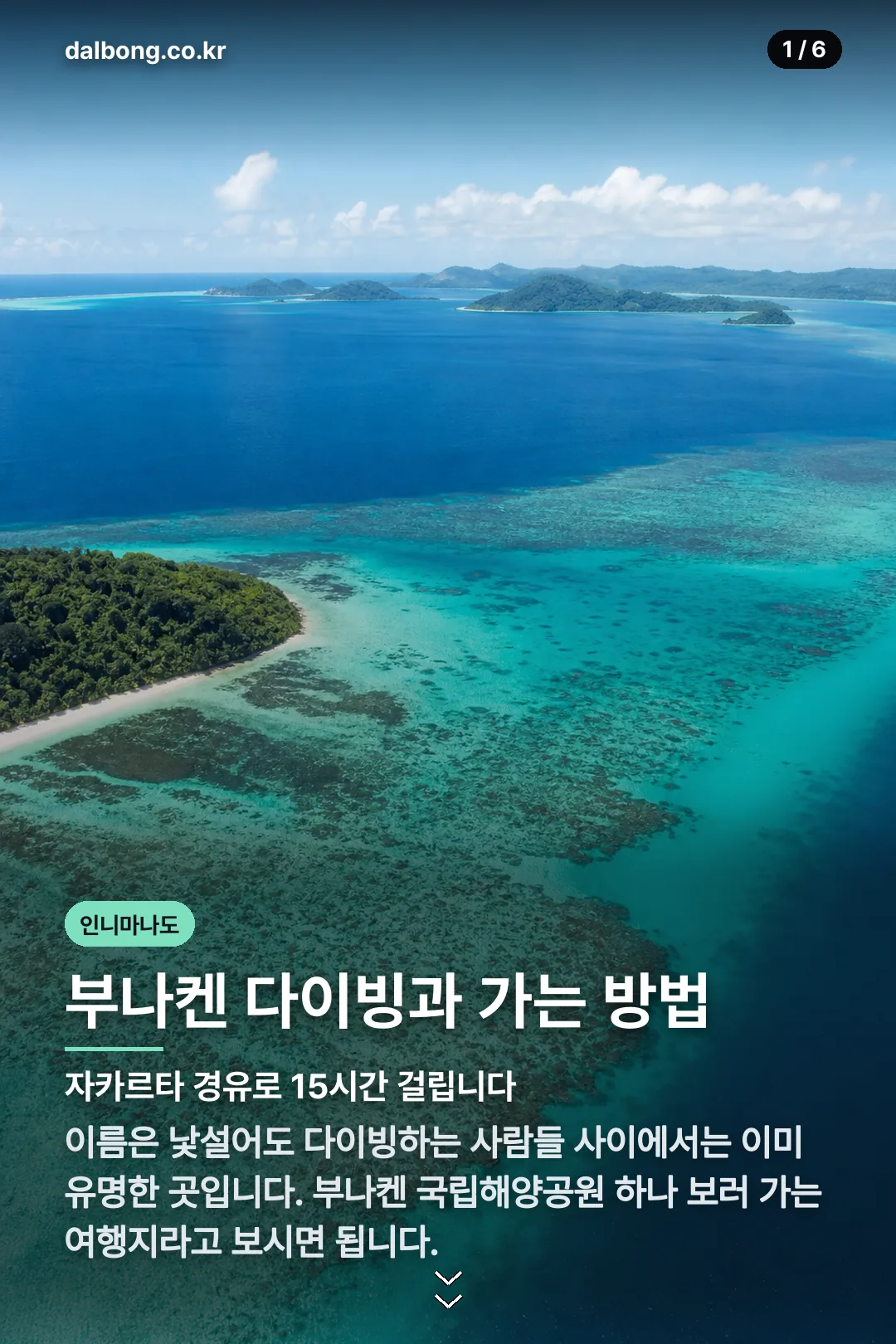 인니마나도 카드뉴스 1