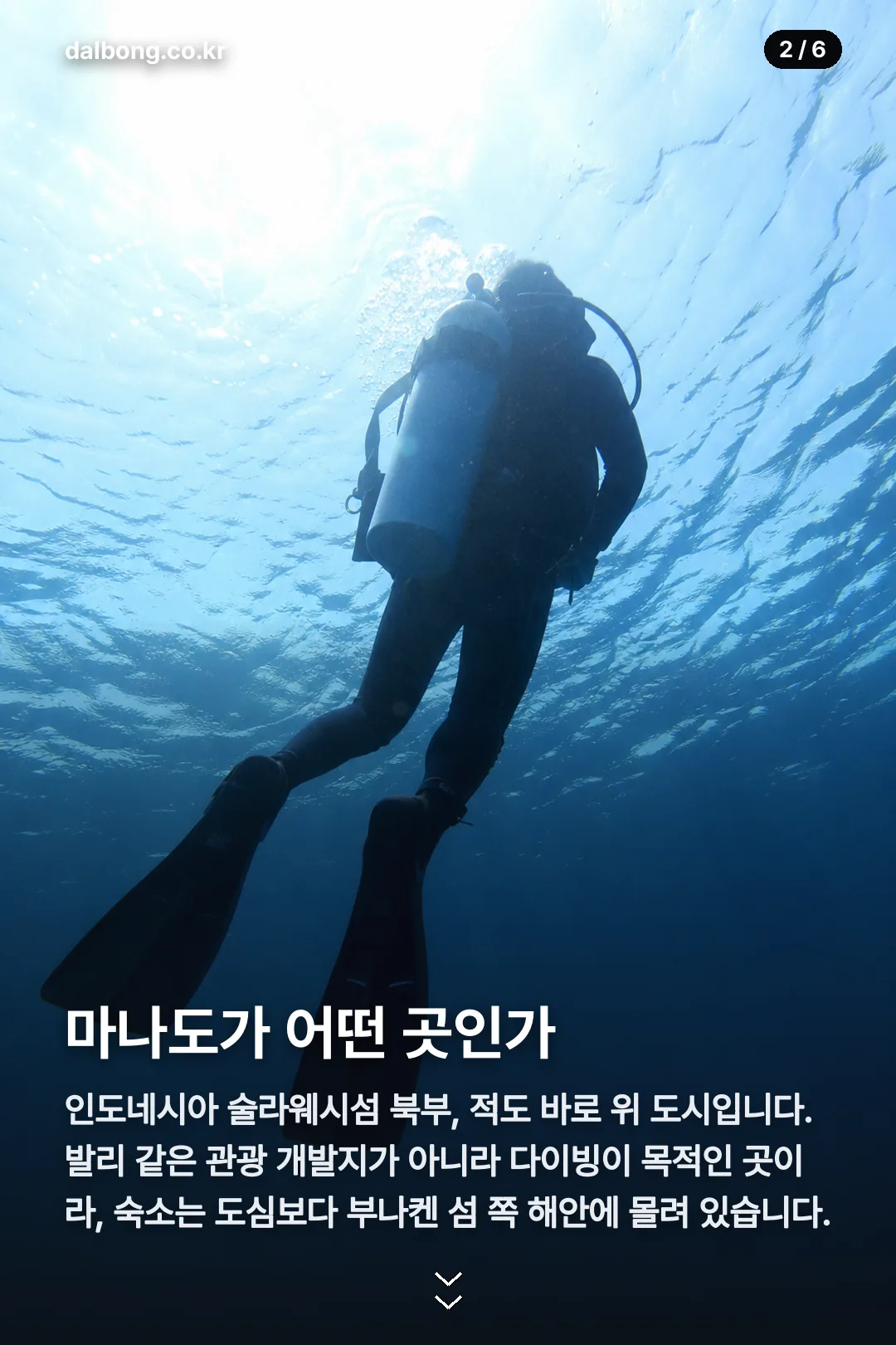 인니마나도 카드뉴스 2