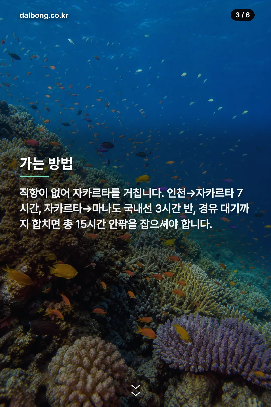 인니마나도 카드뉴스 3